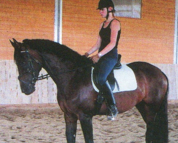 horse Friendly Face 3 (Bavarian, 2002, from Friendship)