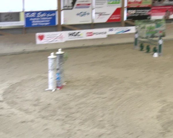 Reitturnier Schaffhausen 2025