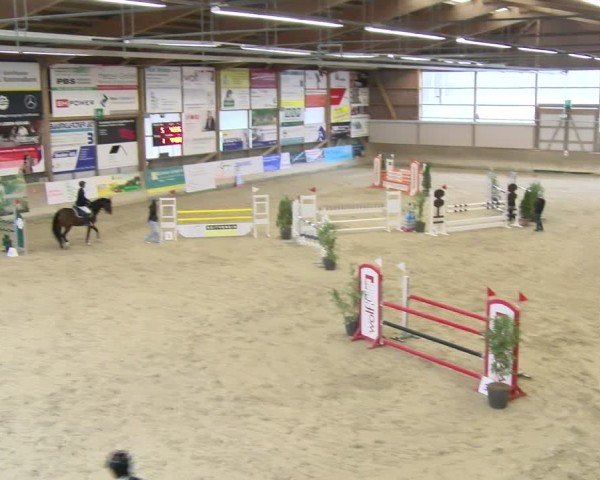 Reitturnier Schaffhausen 2025