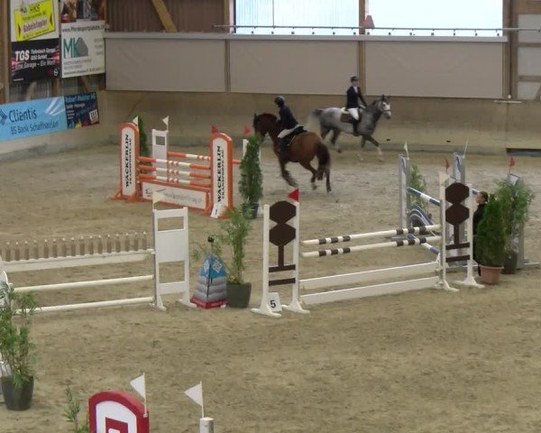 Reitturnier Schaffhausen 2025