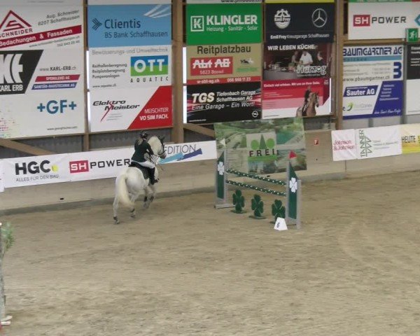 Reitturnier Schaffhausen 2025