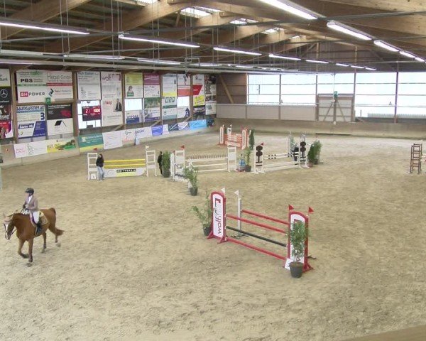 Reitturnier Schaffhausen 2025