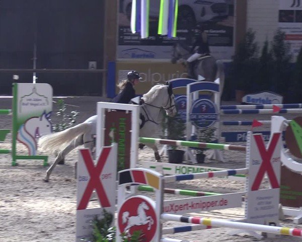 Reitturnier Sögel 2025