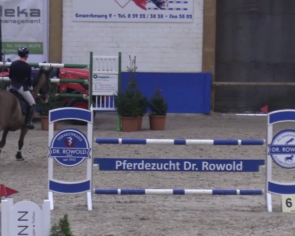 Reitturnier Sögel 2025