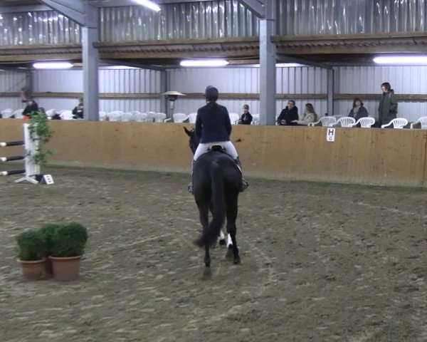 Reitturnier Schlieckau 2025