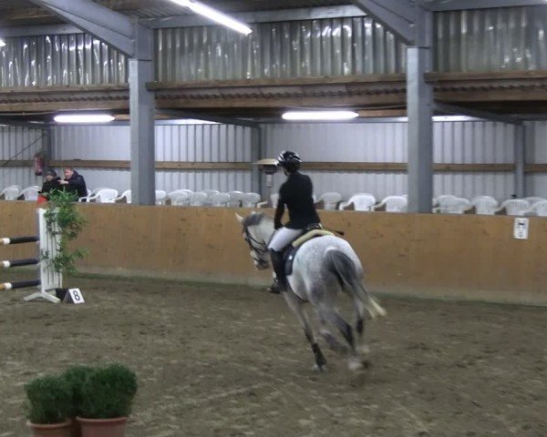 Reitturnier Schlieckau 2025
