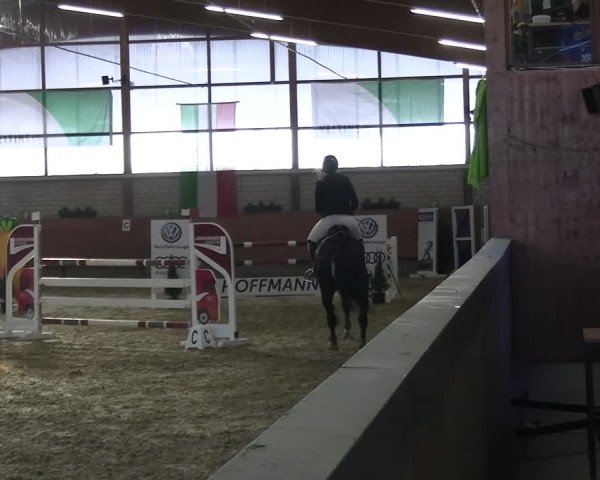 Reitturnier Hellefeld 2025