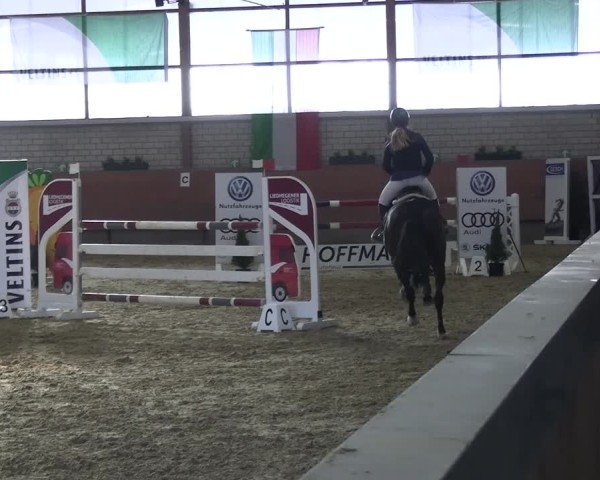 Reitturnier Hellefeld 2025