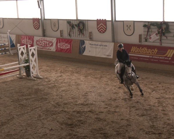 Reitturnier Westbarthausen 2025