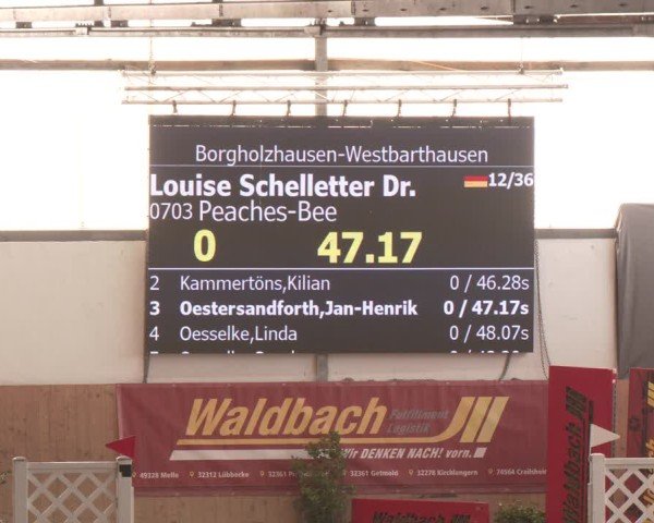 Reitturnier Westbarthausen 2025