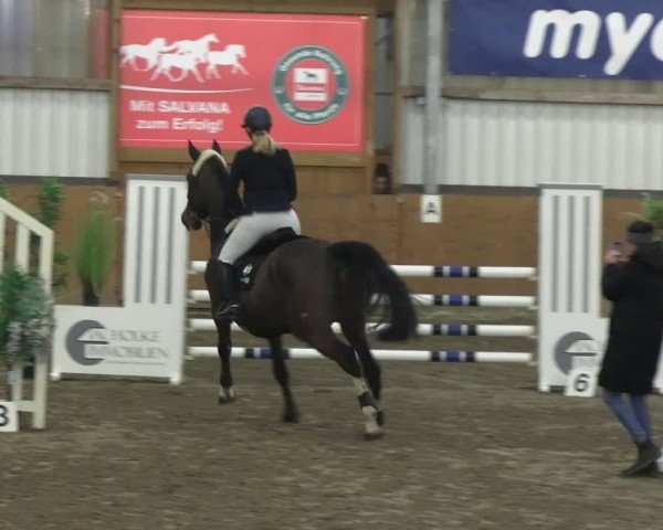 Reitturnier Schlieckau 2025