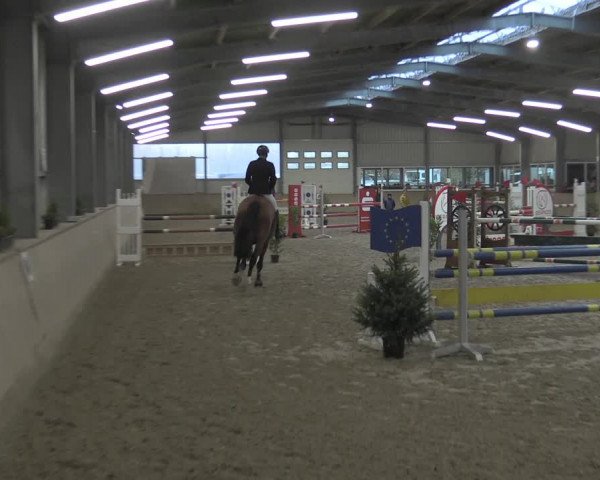 Reitturnier Ahaus 2021