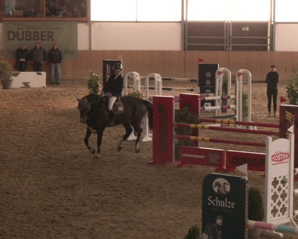 Reitturnier Westbarthausen 2025