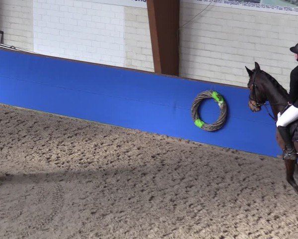 Reitturnier Sögel 2025