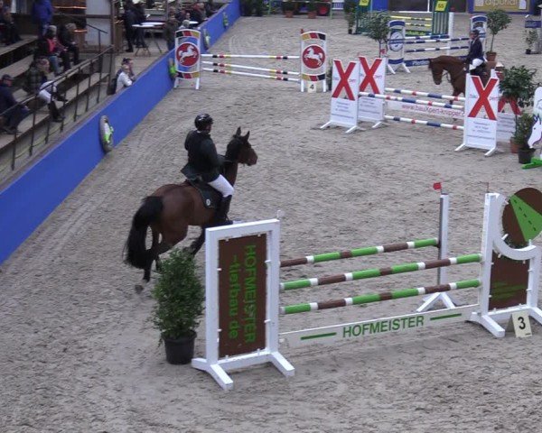 Reitturnier Sögel 2025