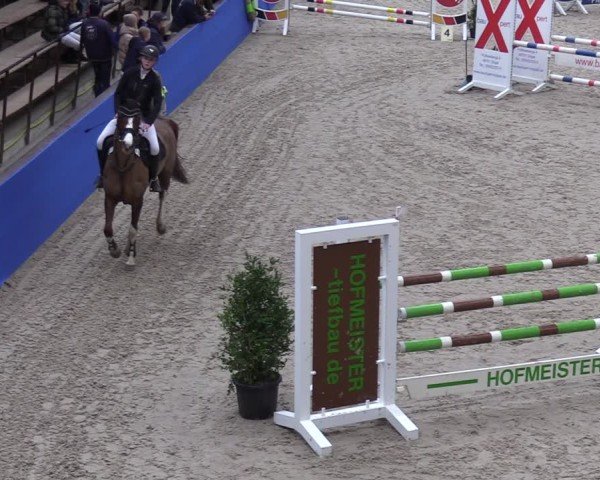 Reitturnier Sögel 2025