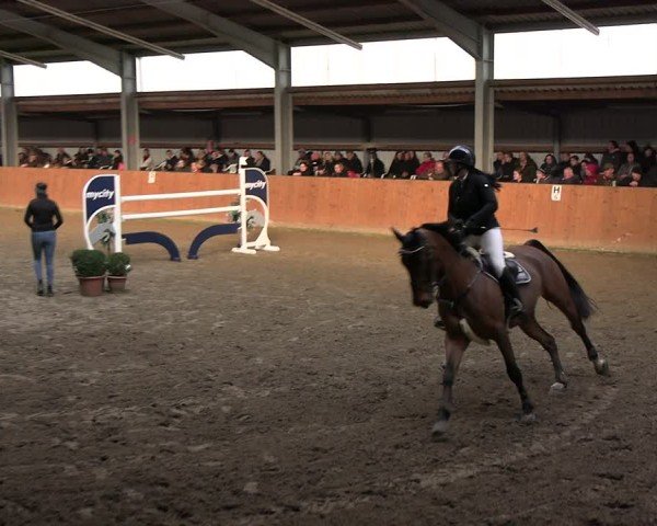 Reitturnier Schlieckau 2025