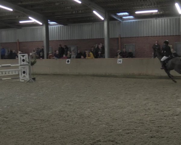Reitturnier Ahaus 2021