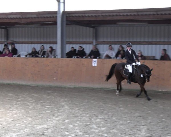 Reitturnier Schlieckau 2025