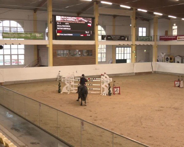 Reitturnier Stadl-Paura 2025