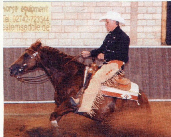 stallion I Am A German Melody (Quarter Horse, 1999, from Heza German Melody)