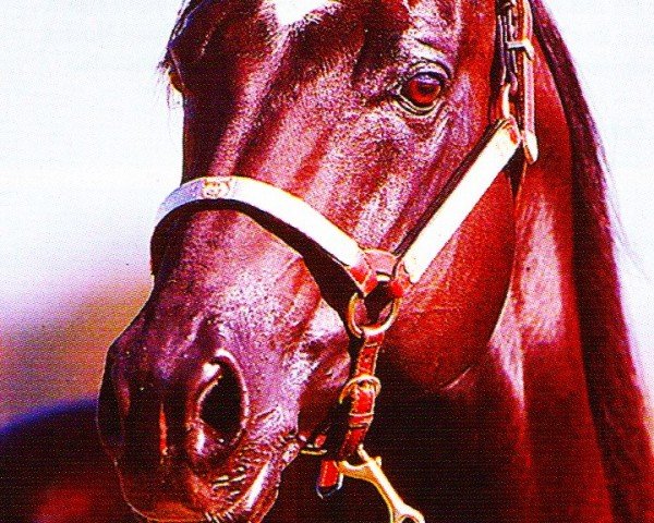 stallion Linas Little Fury (Quarter Horse, 1990, from Smart Little Lena)