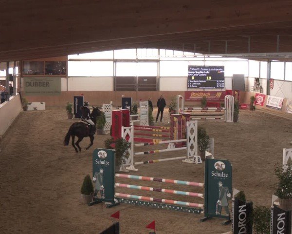 Reitturnier Westbarthausen 2025