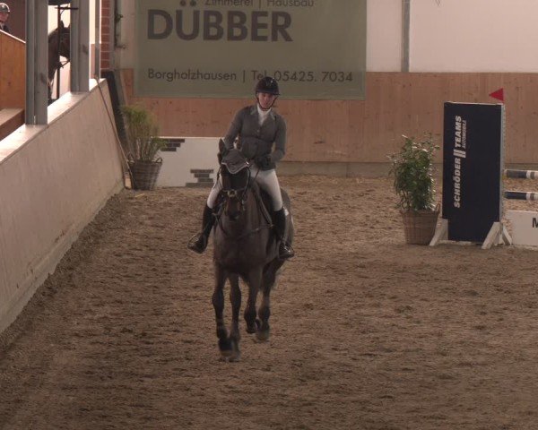 Reitturnier Westbarthausen 2025