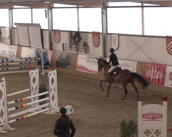 Reitturnier Westbarthausen 2025