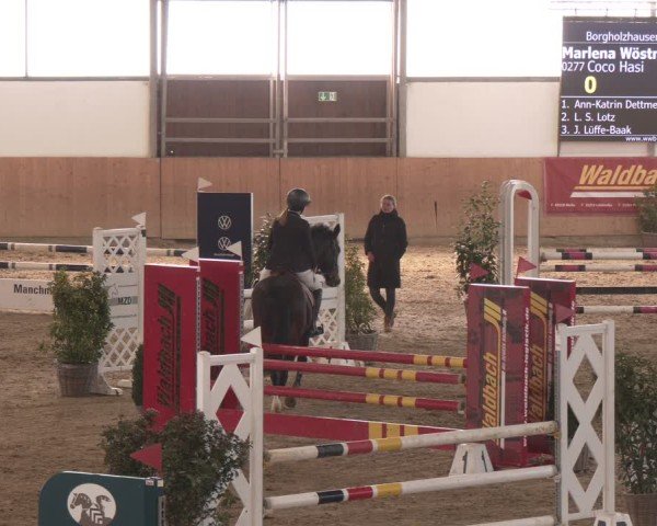 Reitturnier Westbarthausen 2025