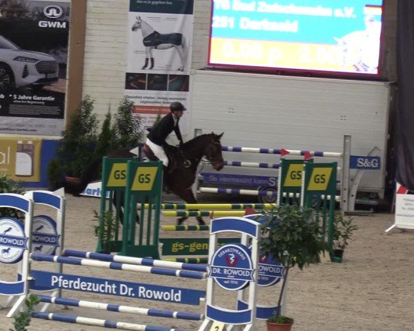 Reitturnier Sögel 2025