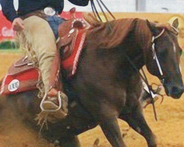 stallion Lil Dry Peppy (Quarter Horse, 1993, from Peppy San Badger)