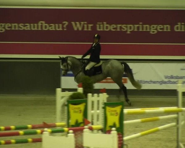 Springturnier auf dem Abtshof 2013