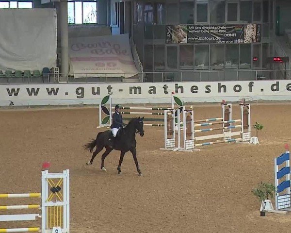 Reitturnier Kreuth 2025
