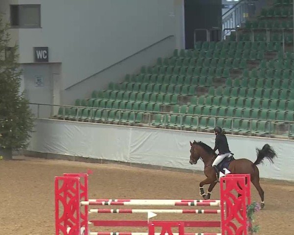 Reitturnier Kreuth 2025