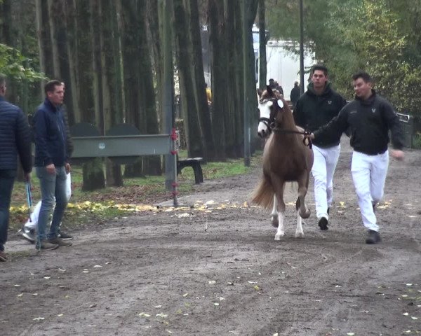 Nachkörung Abt. B 2021 Schloss Wickrath