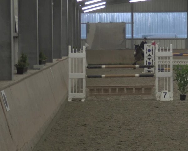 Reitturnier Ahaus 2021