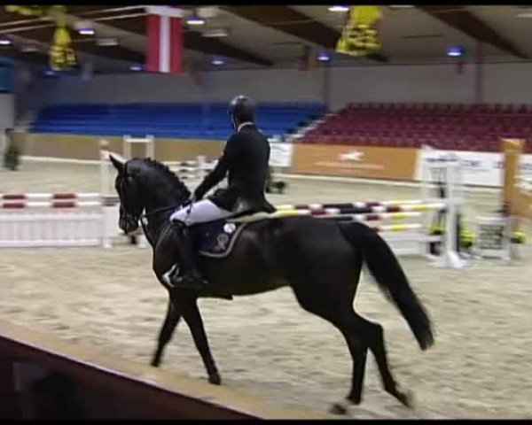 11. Hallen-Championat Vechta 2013