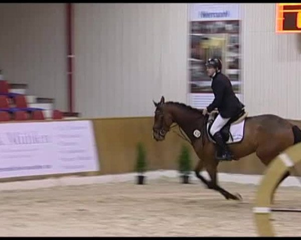 11. Hallen-Championat Vechta 2013