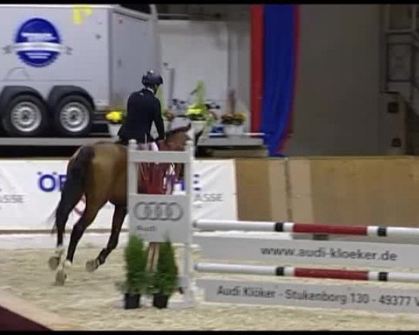 11. Hallen-Championat Vechta 2013