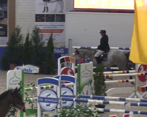 Reitturnier Sögel 2025