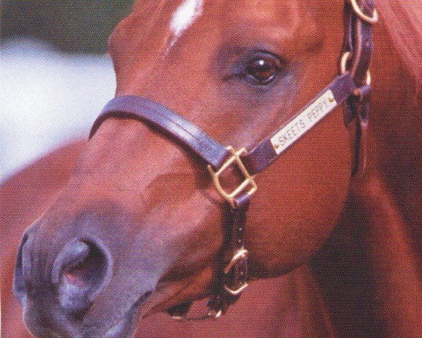 stallion Skeets Peppy (Quarter Horse, 1995, from Peppy San Badger)