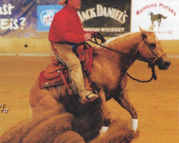 horse Boomerang Andaure (Quarter Horse, 2002, from MP. Boomerjac)