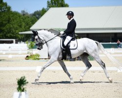 dressage horse Fortunatus (Hanoverian, 2013, from For Romance I)