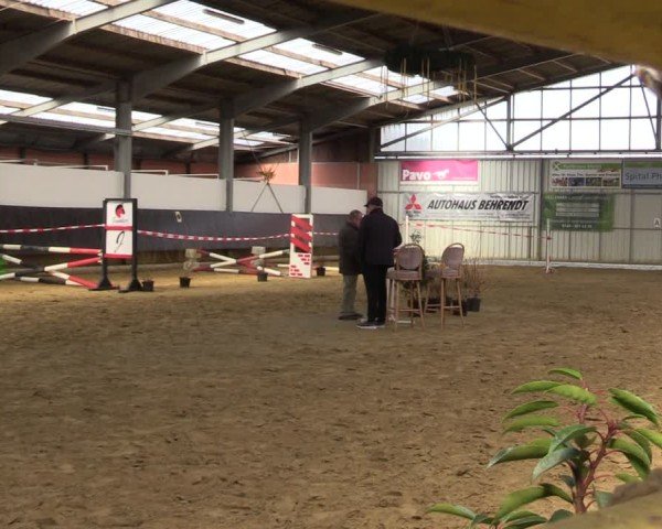 Westfälischer Freispringwettbewerb Bad Sassendorf 2025