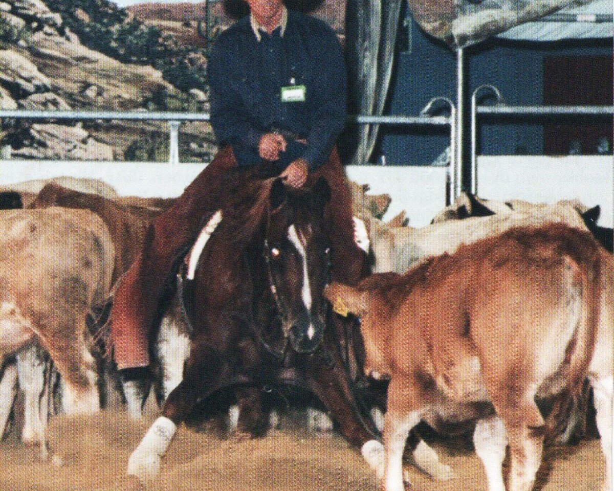 Deckhengst Peppy San Especial (Quarter Horse, 1993, von Peppy San Badger)