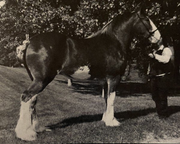 broodmare Nobleman's Alberta Rose (Clydesdale, 1991, from Ogdensburg Nobleman)
