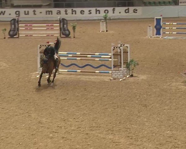 Reitturnier Kreuth 2025