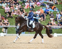 stallion Valenziano (Hanoverian, 2020, from Valdiviani)