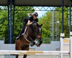 jumper Rythme u.Blues van't Molenvond (Belgian Warmblood, 2017, from Fortuin Z)